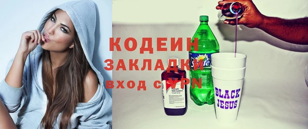 гидра Заводоуковск