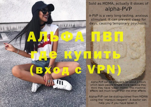 гидра Заводоуковск