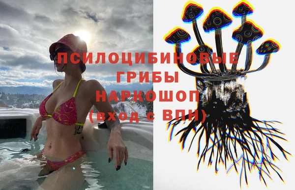 гидра Заводоуковск