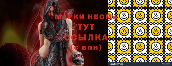 гидра Заводоуковск
