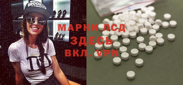 гидра Заводоуковск