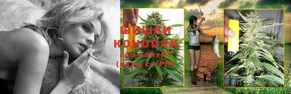 гидра Заводоуковск