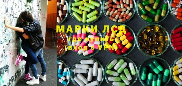 гидра Заводоуковск